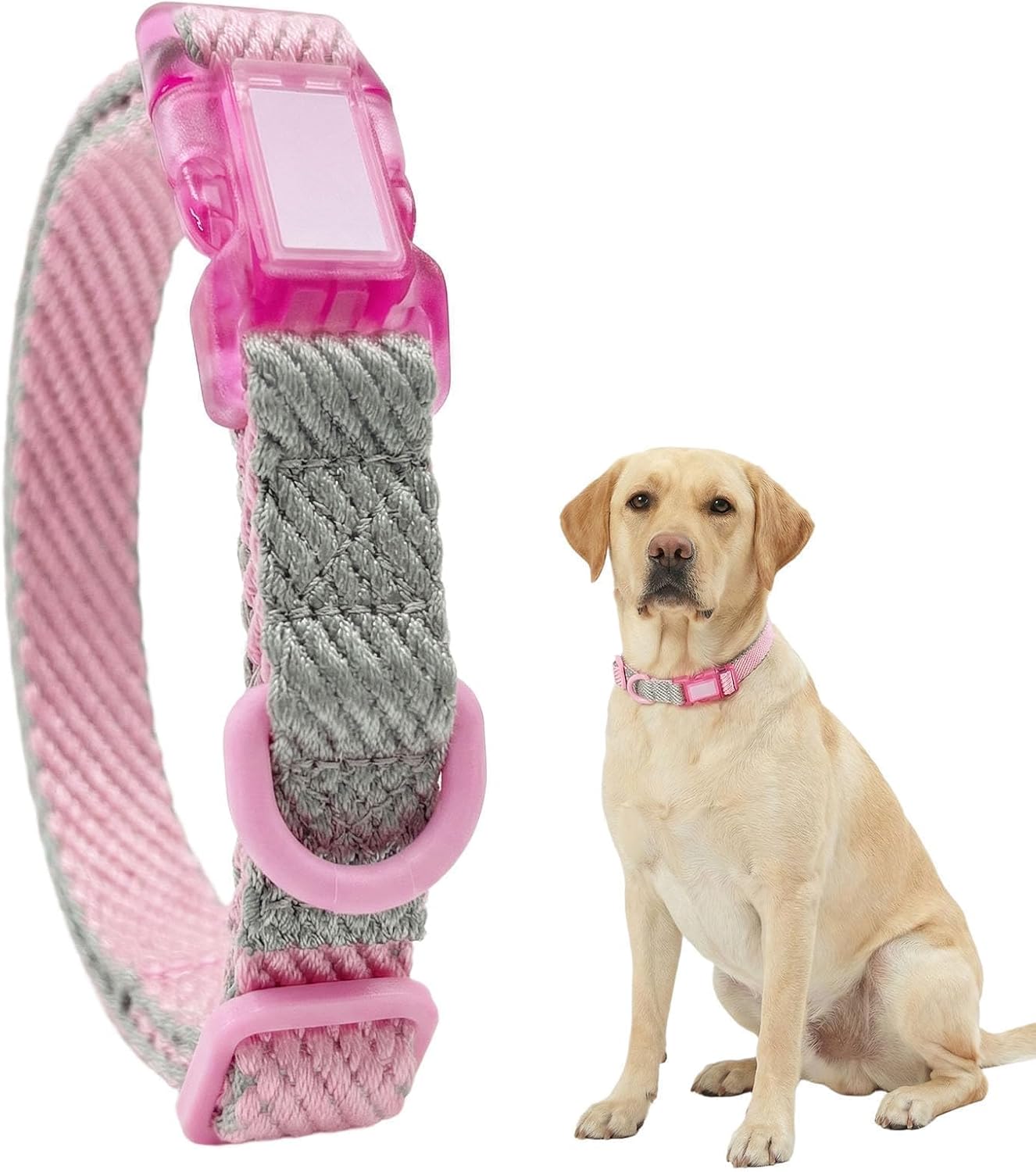 Collier réglable pour chien à ouverture rapide — Rose · S — 1