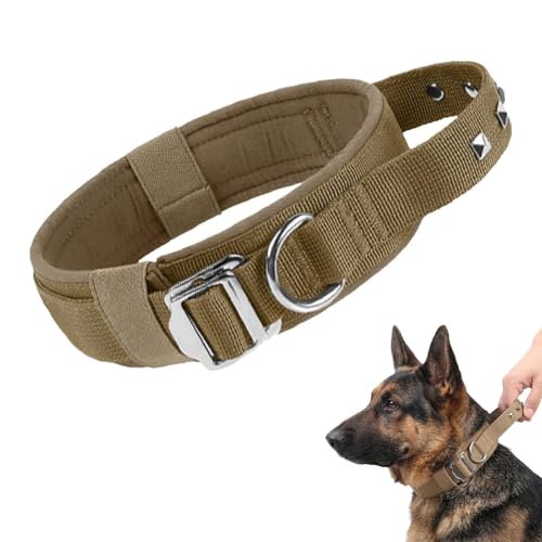 Dog Collar with Handle and Metal Buckle — Khaki · L