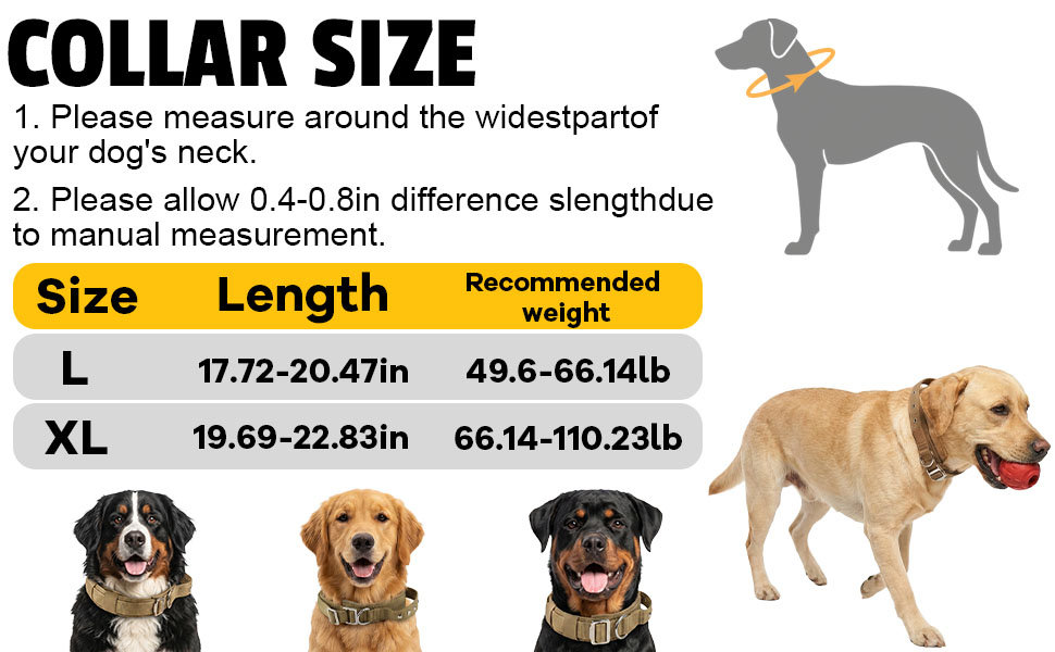 Hundehalsband mit Griff und Metallschnalle — Amazon A+ 3