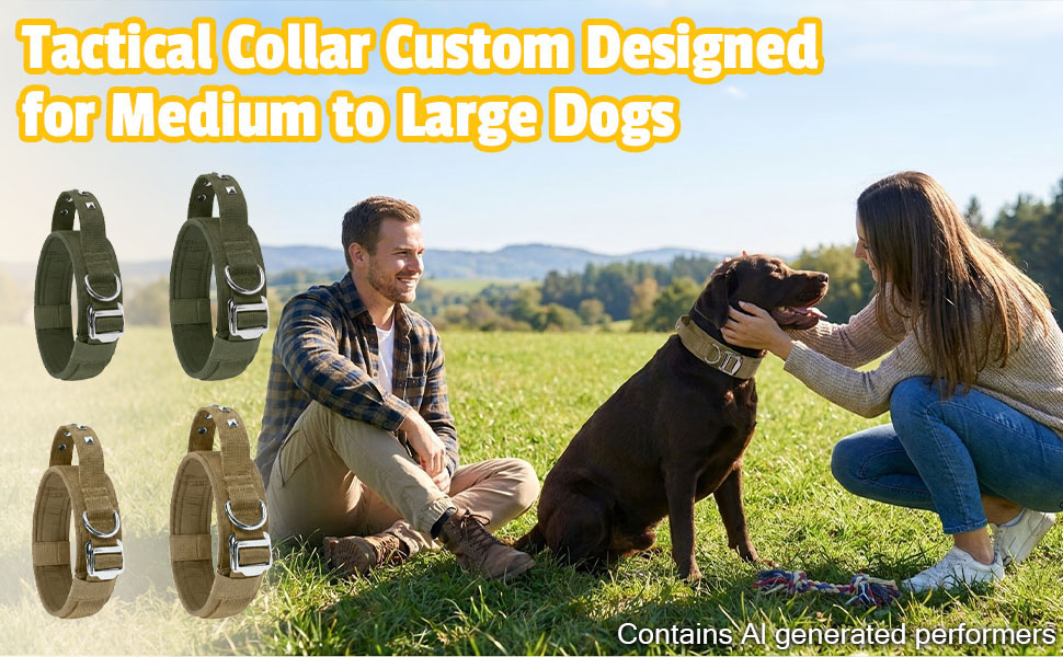 Hundehalsband mit Griff und Metallschnalle — Amazon A+ 6