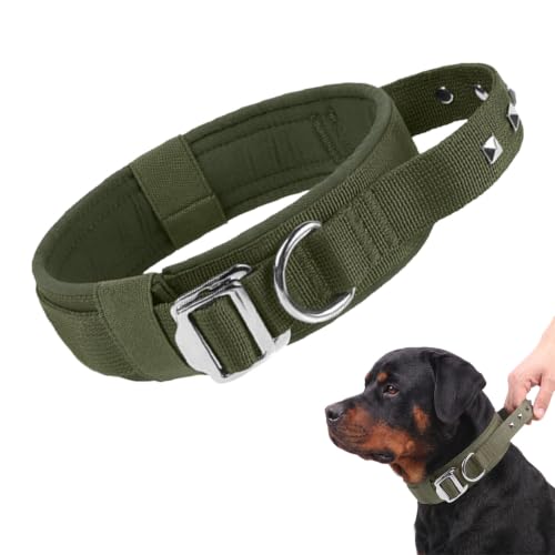 Dog Collar with Handle and Metal Buckle — Olive Green · L